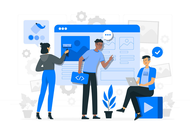 Website Design and Development